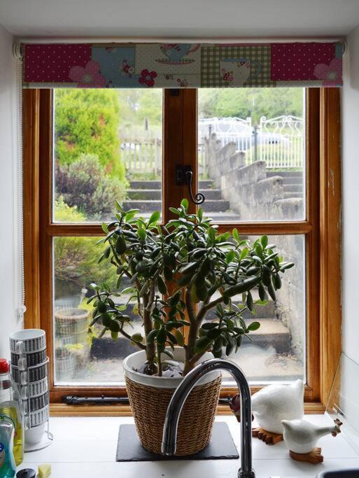 Foresters Inn Cottage Parkend Luaran gambar